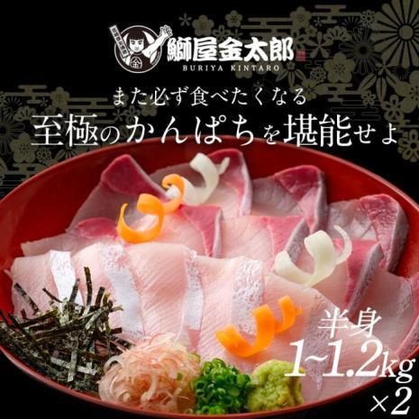 宮崎ゴールドカンパチ フィレ 1kg～1.2kg が２枚 2024 ギフト プレゼント 送料無料 お返し 贈答品 お取り寄せ 極上 かんぱち フィレ 産地直送 お刺身 宮崎 海鮮 冷凍 冷蔵