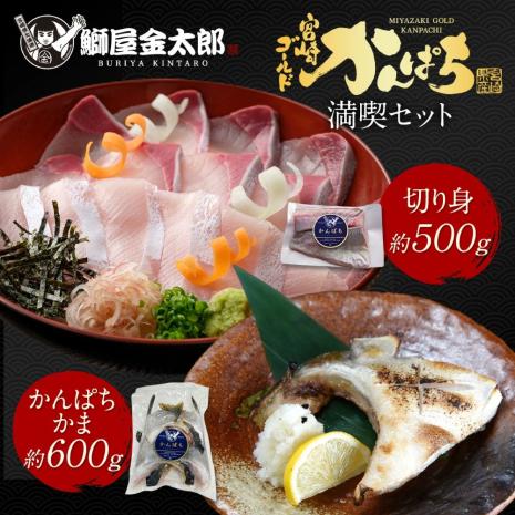 宮崎ゴールドかんぱち 満喫セット ( 切り身 約500ｇ＋ かんぱちカマ 約600g) 2024 ギフト プレゼント 送料無料 お返し 贈答品 お取り寄せ 獲れたて かんぱち 産地直送 お刺身