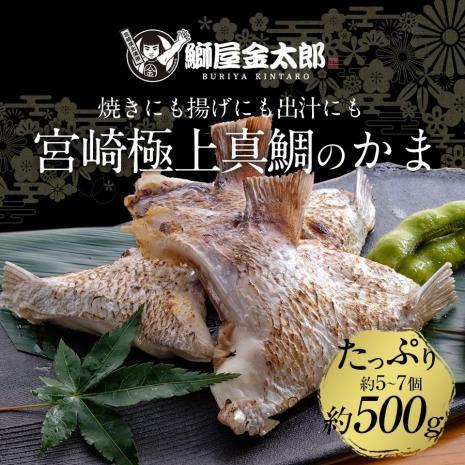 匠が育てた極上の鯛 タイ たい 鯛カマ約500g（5～7個入り） 2024 ギフト プレゼント お返し 贈答品 年配 食品 食品 お取りせグルメ おつまみ 食べ物 照り焼き カマ塩焼きおつまみ