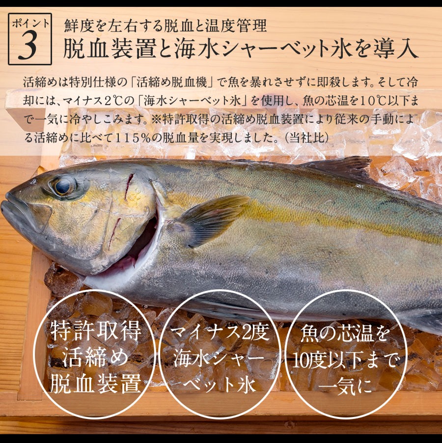 極上 真鯛 ぶり カンパチ 3種 セット 各900g 合計2700g 刺身 2024 ギフト プレゼント 送料無料 宮崎 海鮮 セット 詰め合わせ 3種 盛り合わせ