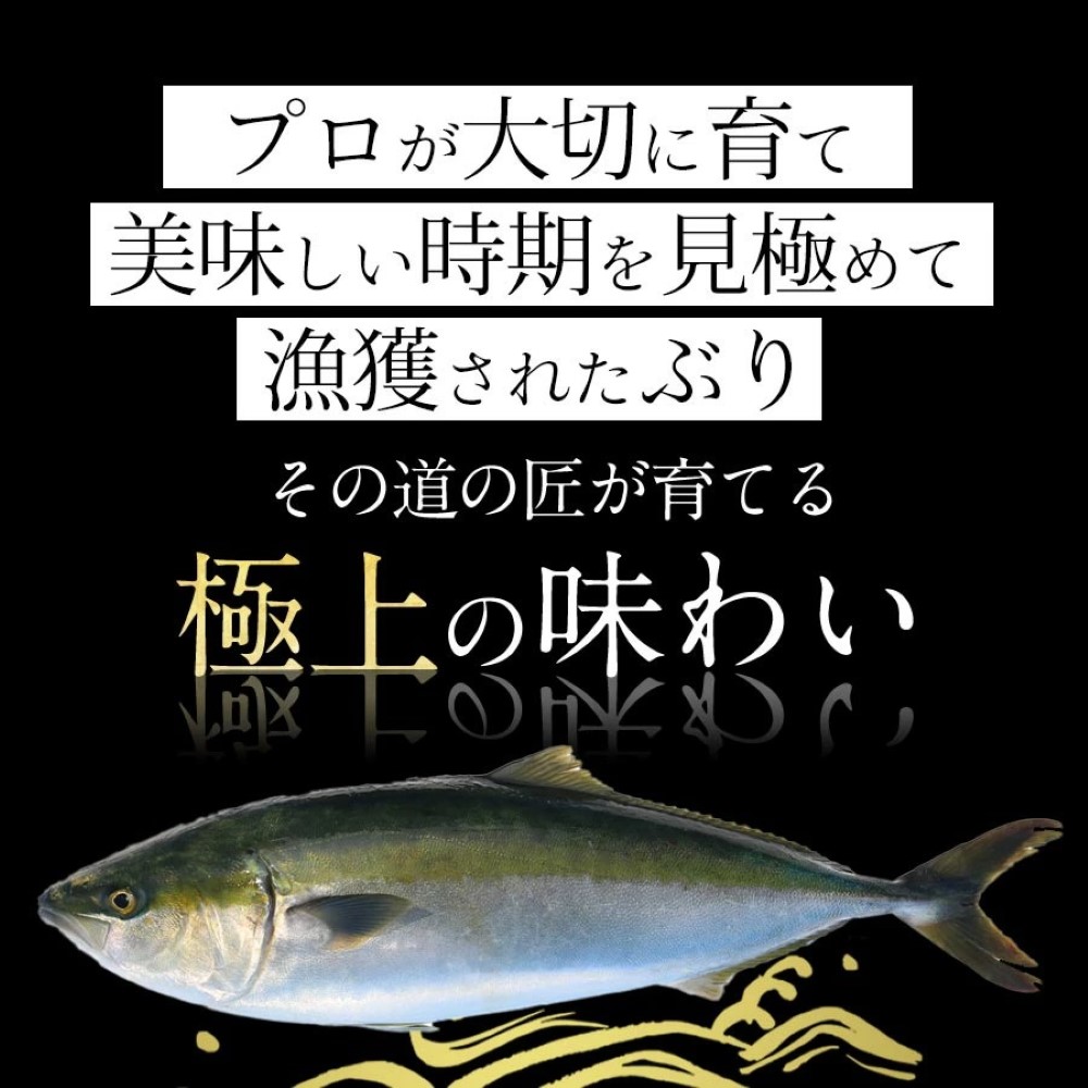 金太郎ぶり 1000g（1kg） 金太郎ぶり 鰤 極上 ブリ 真空パック ふっくら ブリの照り焼き ぶり大根 お取り寄せ お取りよせグルメ