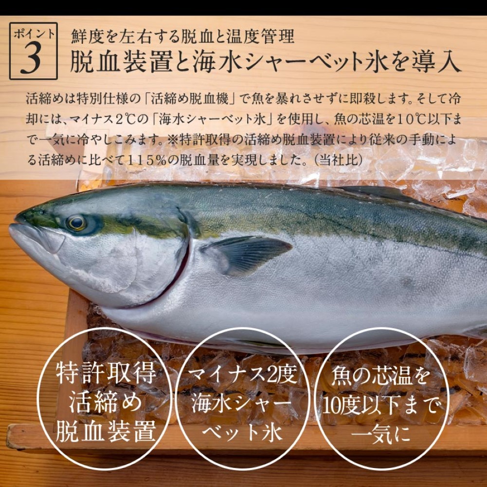 金太郎ぶり 1000g（1kg） 金太郎ぶり 鰤 極上 ブリ 真空パック ふっくら ブリの照り焼き ぶり大根 お取り寄せ お取りよせグルメ