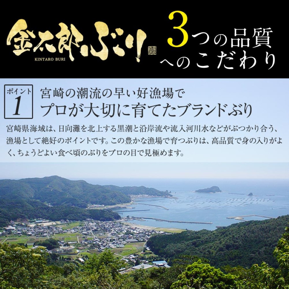 【冷凍専用】金太郎ぶり冷凍 1000g（1kg） 金太郎ぶり 鰤 極上 ブリ 冷凍 解凍 柵 さく お刺身 刺し身 さしみ 宮崎 海鮮 刺身 真空パック 照り焼き ぶり大根 ギフト お取り寄せ