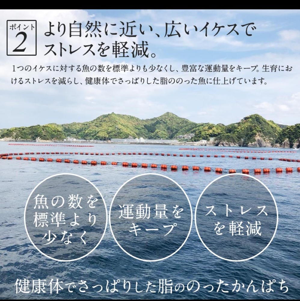 【冷凍専用】金太郎ぶり冷凍 1000g（1kg） 金太郎ぶり 鰤 極上 ブリ 冷凍 解凍 柵 さく お刺身 刺し身 さしみ 宮崎 海鮮 刺身 真空パック 照り焼き ぶり大根 ギフト お取り寄せ