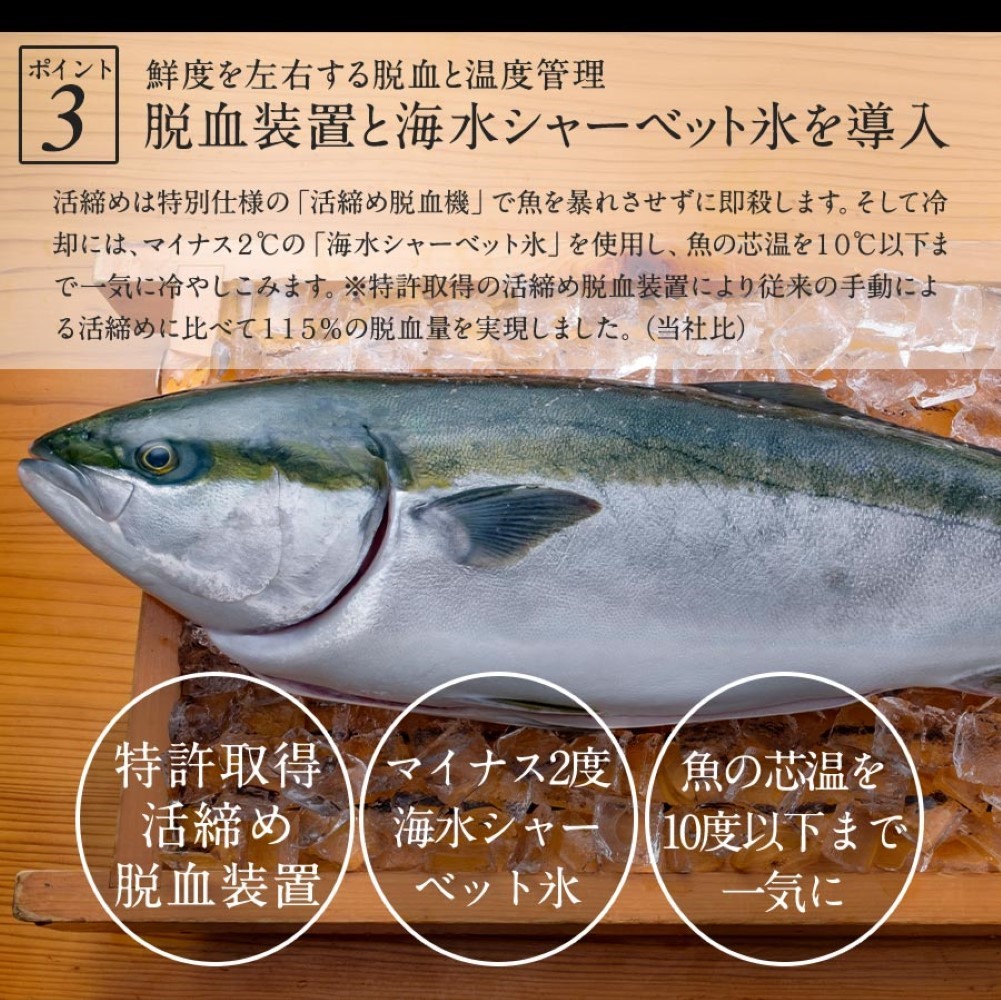 【冷凍専用】金太郎ぶり 冷凍 1500g（1.5kg） 2024 ギフト プレゼント 送料無料 お返し 贈答品 お取り寄せ 極上 ブリ 産地直送 金太郎ぶり