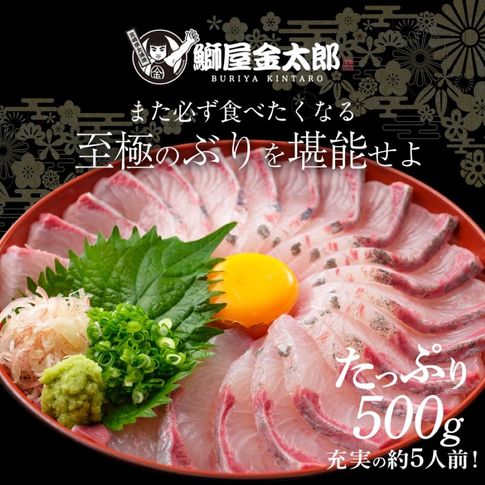 金太郎ぶり 500g 2024 ギフト プレゼント 送料無料 お返し 贈答品 お取り寄せ 産地直送 金太郎ぶり 極上 ブリ 冷凍 冷蔵 解凍 柵 さく お刺身 刺し身 さしみ 宮崎 海鮮 鰤