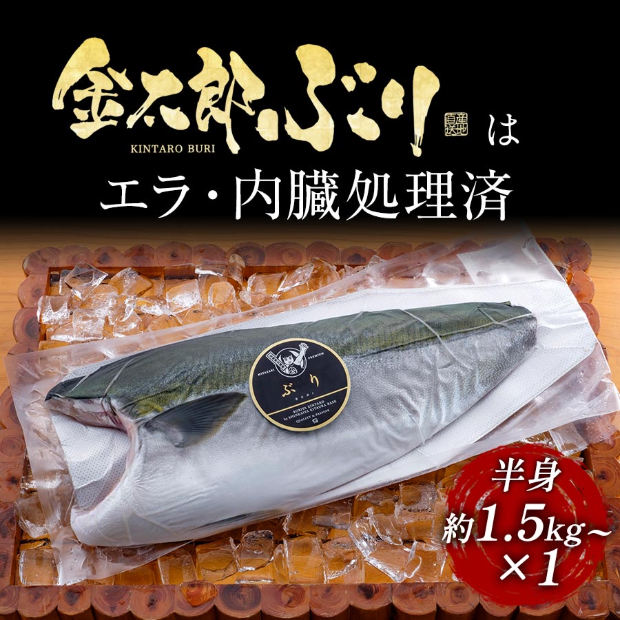 金太郎ぶり 鰤 フィレ1.5kg～半身（1枚） 2024 ギフト プレゼント 送料無料 お返し 贈答品 お取り寄せ 極上 ブリ フィレ 産地直送 お刺身 宮崎 海鮮 鰤 刺身 冷凍 冷蔵