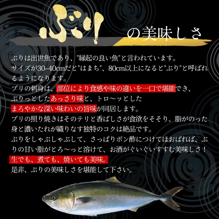 金太郎ぶり 鰤 フィレ1.5kg～半身（1枚） 2024 ギフト プレゼント 送料無料 お返し 贈答品 お取り寄せ 極上 ブリ フィレ 産地直送 お刺身 宮崎 海鮮 鰤 刺身 冷凍 冷蔵