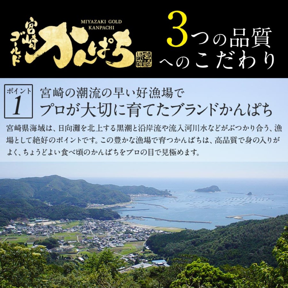 宮崎ゴールドかんぱち 1000ｇ 2024 ギフト プレゼント 送料無料 お返し 贈答品 お取り寄せ グルメ 極上 かんぱち カンパチ 間八 勘八 産地直送 柵 さく お刺身宮崎 海鮮