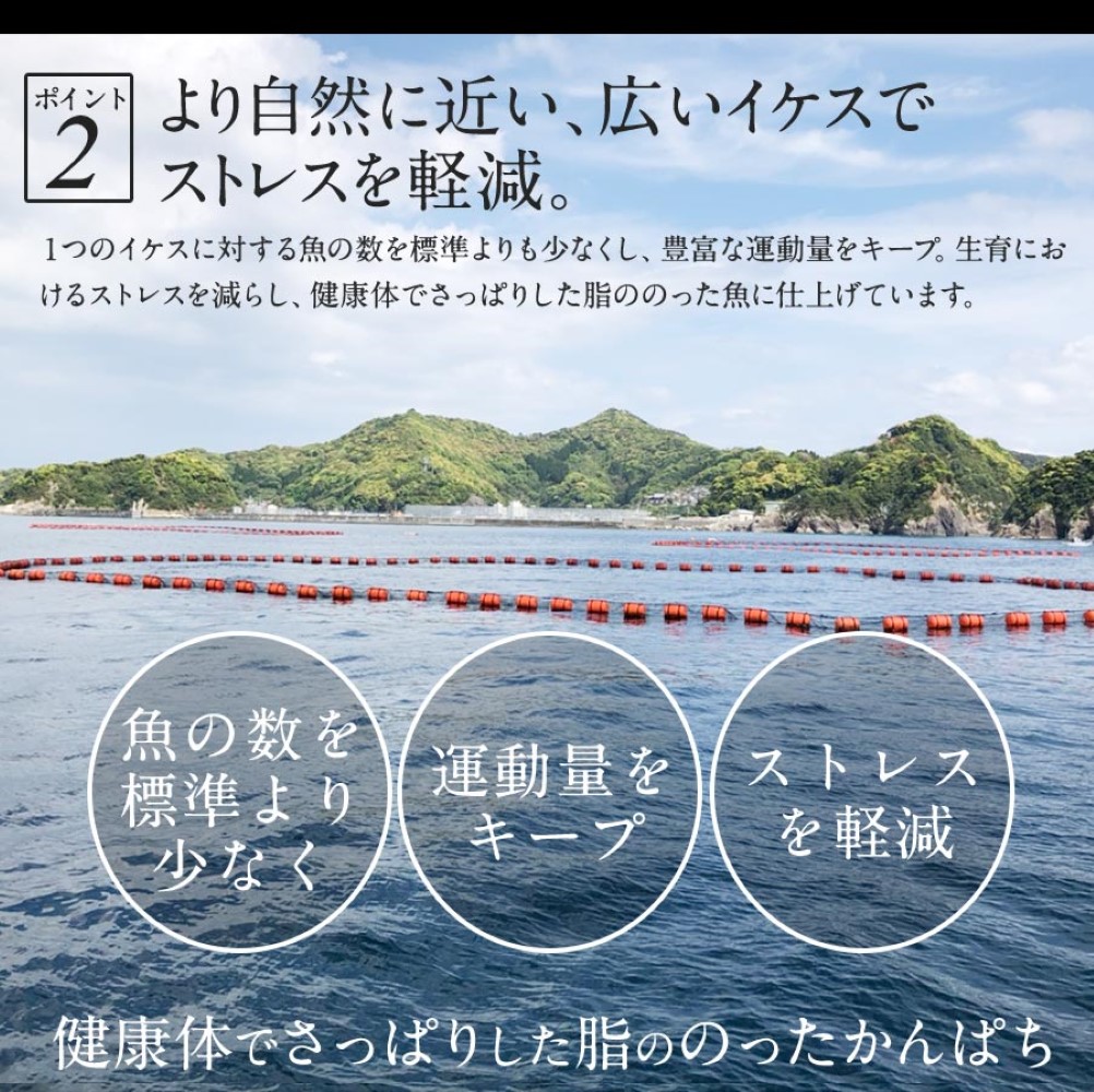 宮崎ゴールドかんぱち 1000ｇ 2024 ギフト プレゼント 送料無料 お返し 贈答品 お取り寄せ グルメ 極上 かんぱち カンパチ 間八 勘八 産地直送 柵 さく お刺身宮崎 海鮮