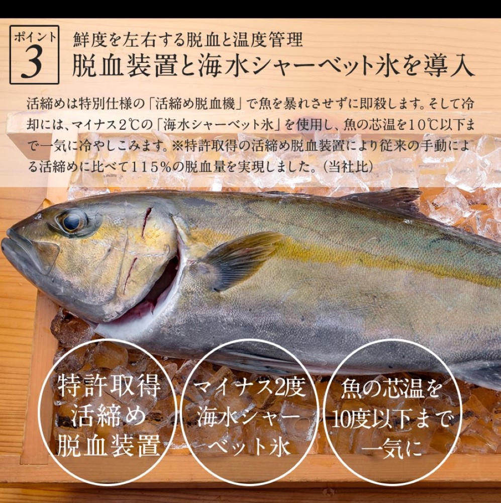 宮崎ゴールドかんぱち 1000ｇ 2024 ギフト プレゼント 送料無料 お返し 贈答品 お取り寄せ グルメ 極上 かんぱち カンパチ 間八 勘八 産地直送 柵 さく お刺身宮崎 海鮮