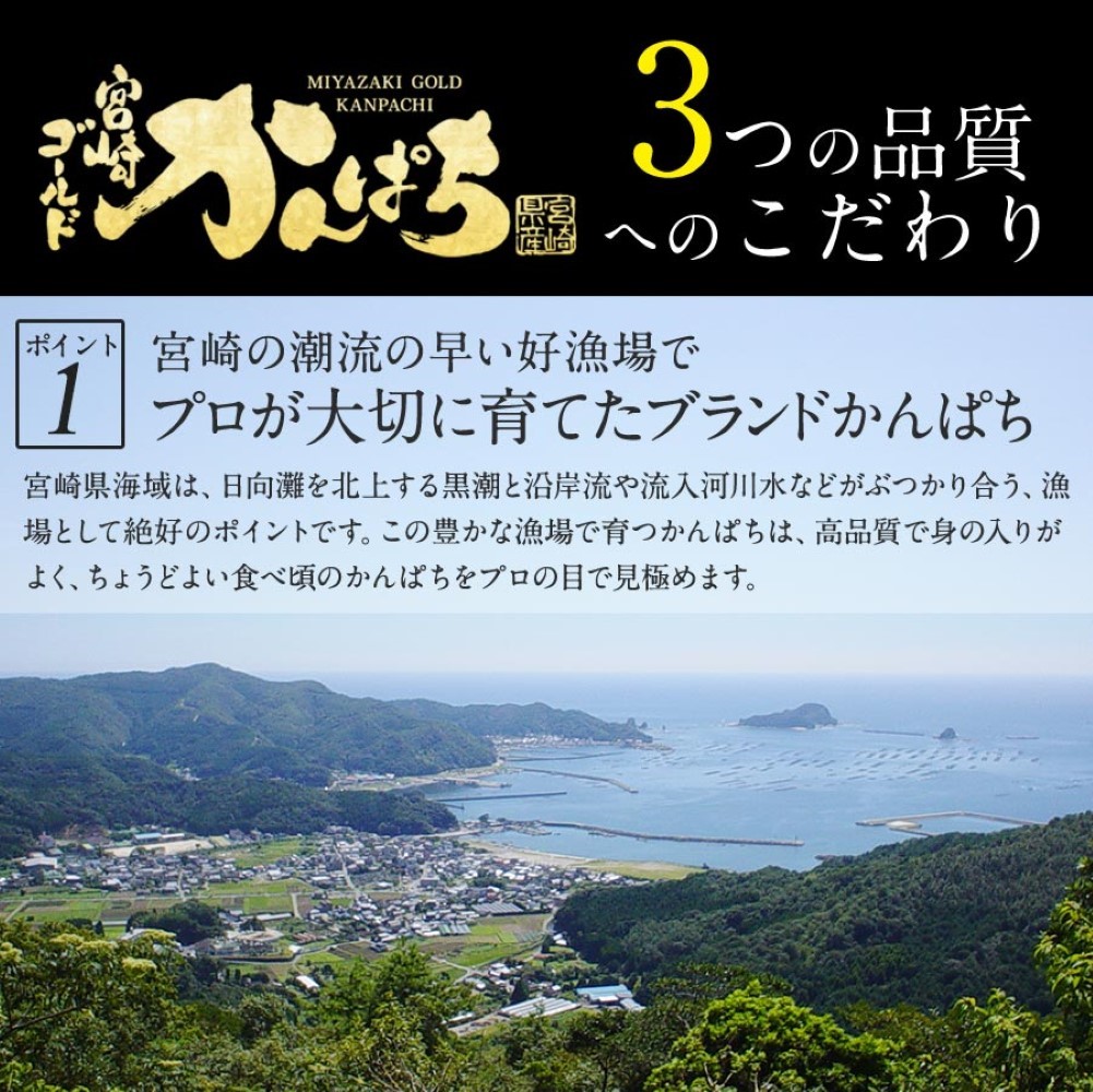 かんぱち300ｇ2024 ギフト プレゼント お返し 贈答品 年配 食品 食べ物 お取り寄せ お取りせグルメ 極上 獲れたて かんぱち カンパチ 産地直送 柵 さく お刺身 宮崎 海鮮 刺身