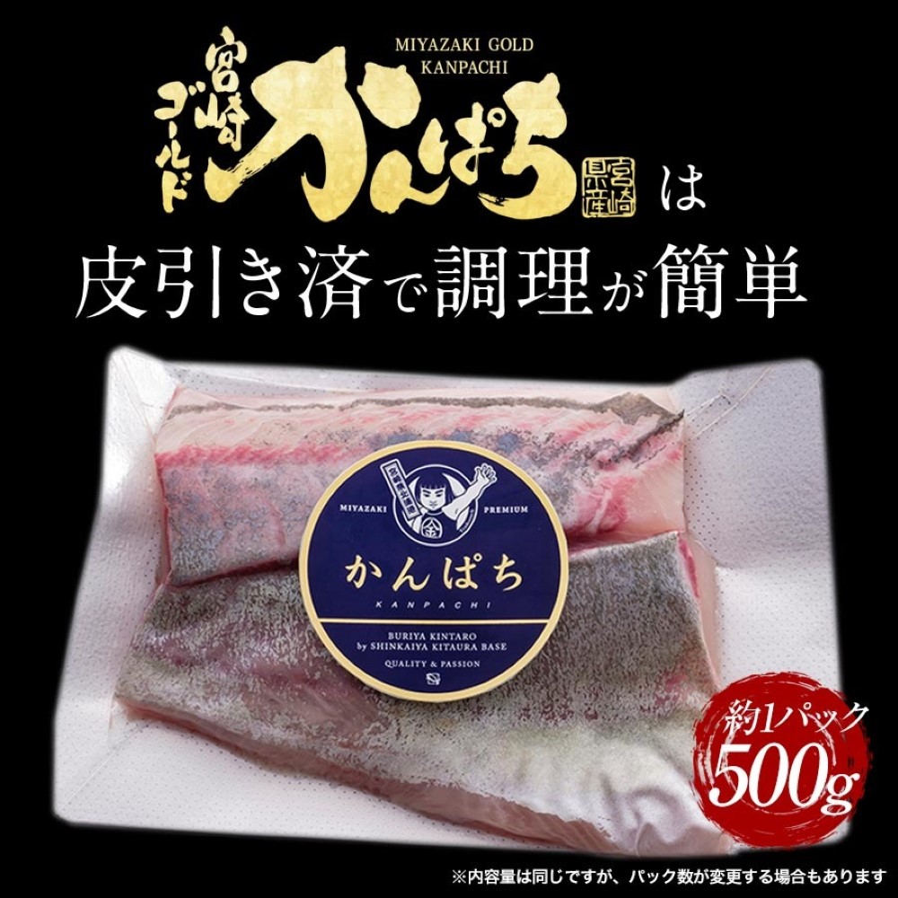 宮崎ゴールドかんぱち 満喫セット ( 切り身 約500ｇ＋ かんぱちカマ 約600g) 2024 ギフト プレゼント 送料無料 お返し 贈答品 お取り寄せ 獲れたて かんぱち 産地直送 お刺身