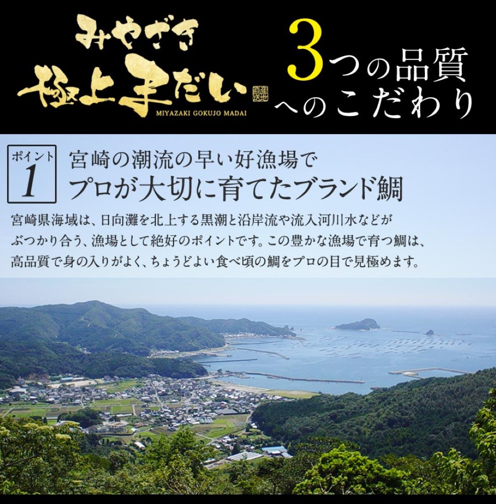 極上まだい 鯛900ｇ約9人前 2024 ギフト プレゼント 送料無料 お返し 贈答品 年配 お取り寄せ お取りせグルメ 極上 鯛 タイ 産地直送 真鯛 柵 お刺身 宮崎 海鮮 刺身 冷凍 冷蔵