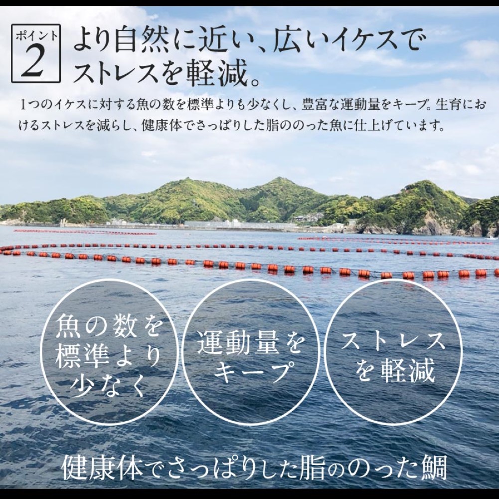 極上まだい 鯛900ｇ約9人前 2024 ギフト プレゼント 送料無料 お返し 贈答品 年配 お取り寄せ お取りせグルメ 極上 鯛 タイ 産地直送 真鯛 柵 お刺身 宮崎 海鮮 刺身 冷凍 冷蔵