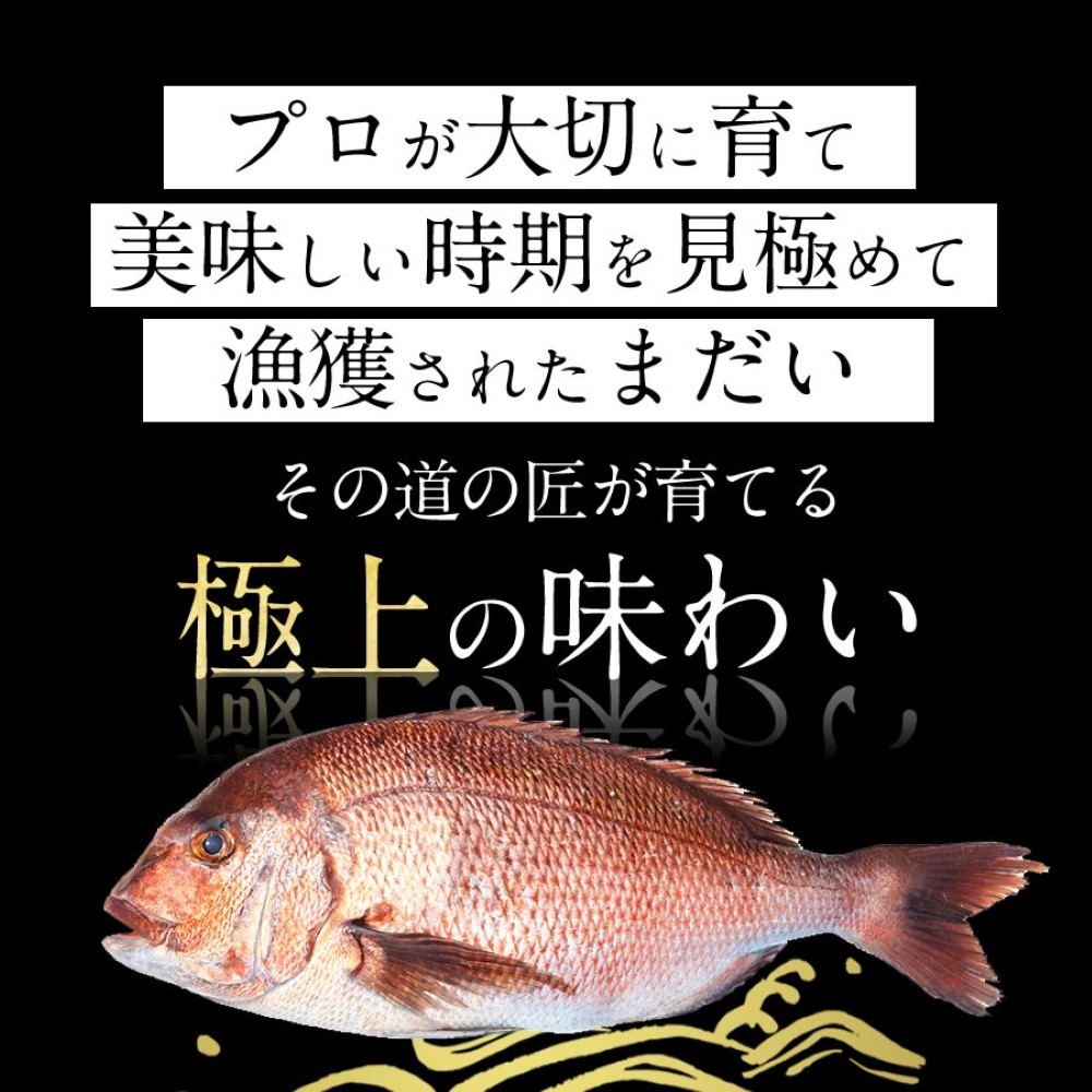 極上まだい 鯛 1200ｇ 2024 ギフト プレゼント 送料無料 お返し 贈答品 お取り寄せ お取りせグルメ タイ たい 真鯛 柵 さく お刺身 刺し身 さしみ 宮崎 海鮮 産地直送 刺身