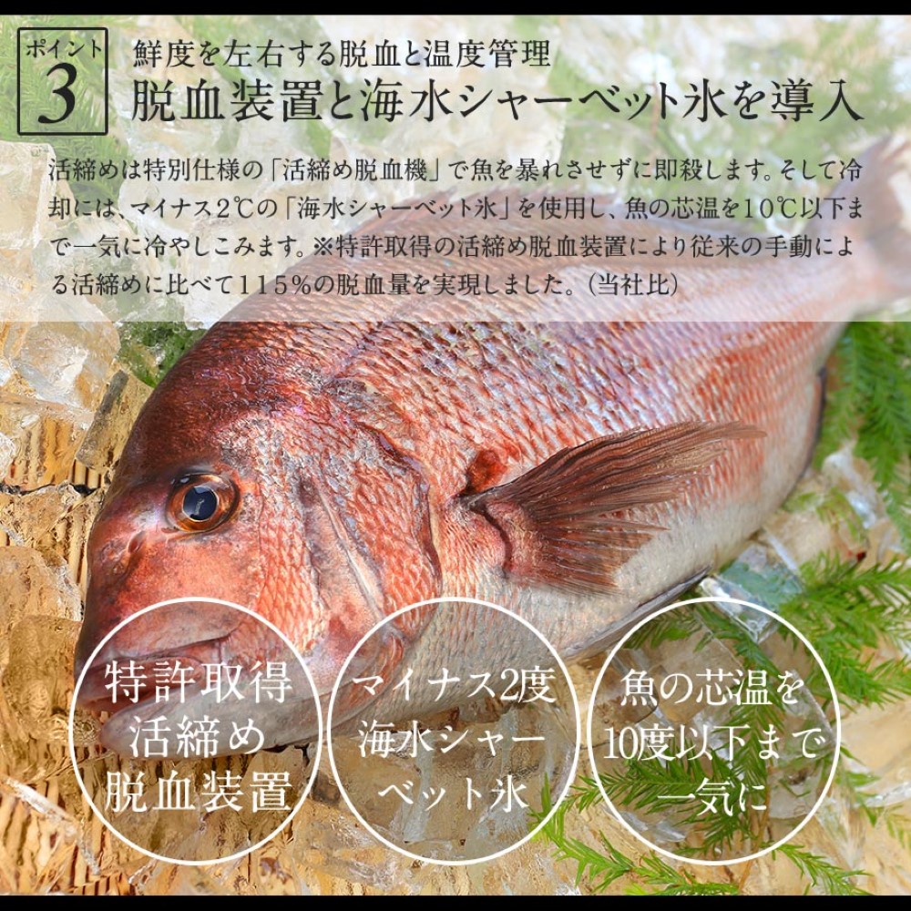 極上まだい 300g 2024 ギフト プレゼント お返し 贈答品 年配 食品 食べ物 お取り寄せ お取りせグルメ 極上 鯛 タイ たい 産地直送 真鯛 柵 さく お刺身 宮崎 海鮮 刺身