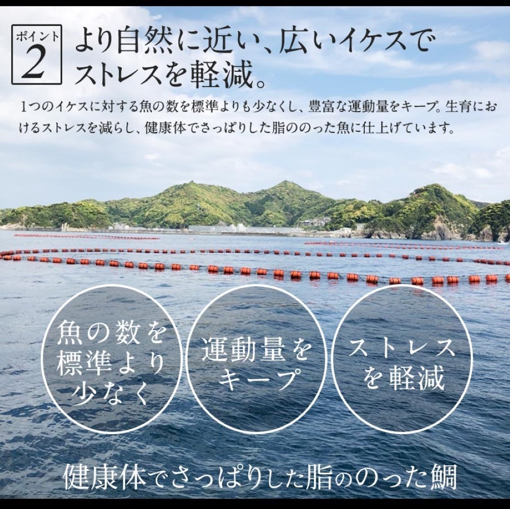 匠が育てた極上の鯛 タイ たい 鯛カマ約500g（5～7個入り）ガーリック&ブラックペッパー味 2024 ギフト プレゼント お返し 贈答品 年配 食品 塩焼き 唐揚げ等 簡単 料理 おつまみ